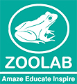 ZooLab animal workshop at SuperCamps